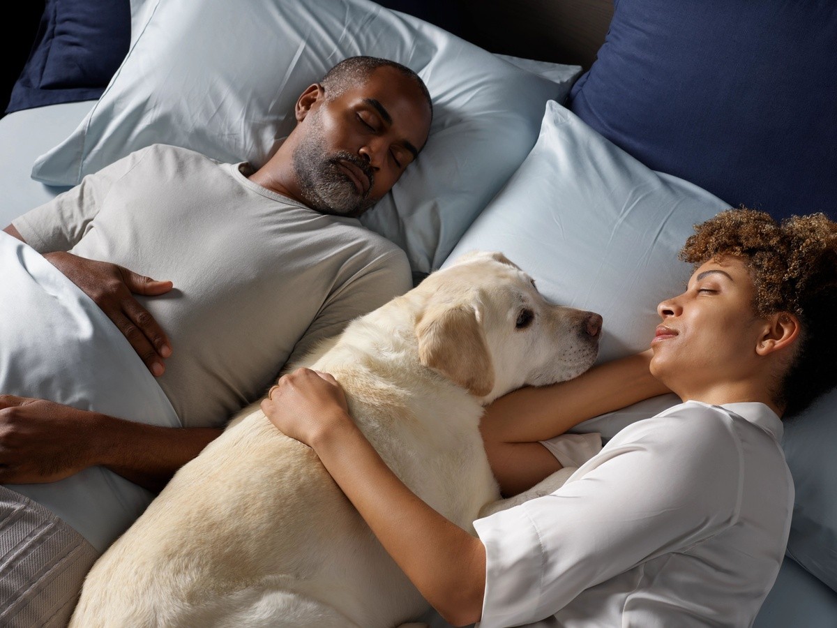 A man and woman sleeping with a dog between them