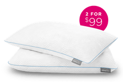 Two cloud adjustable pillows stacked with a badge saying "2 for $99"